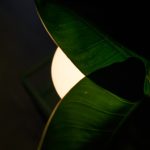 Photo lotus leaf fabric shade pendant lamp