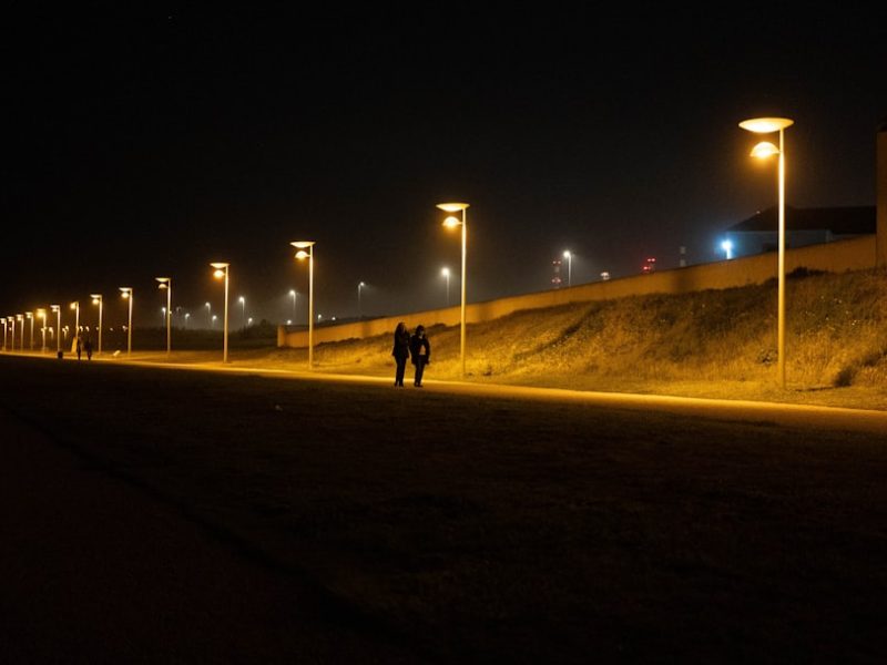 Photo Landscape path lighting